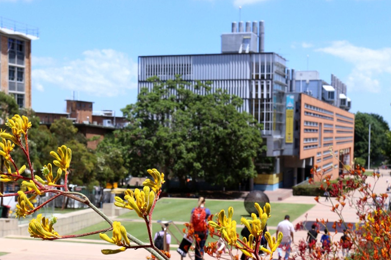 UNSW Kensington Campus