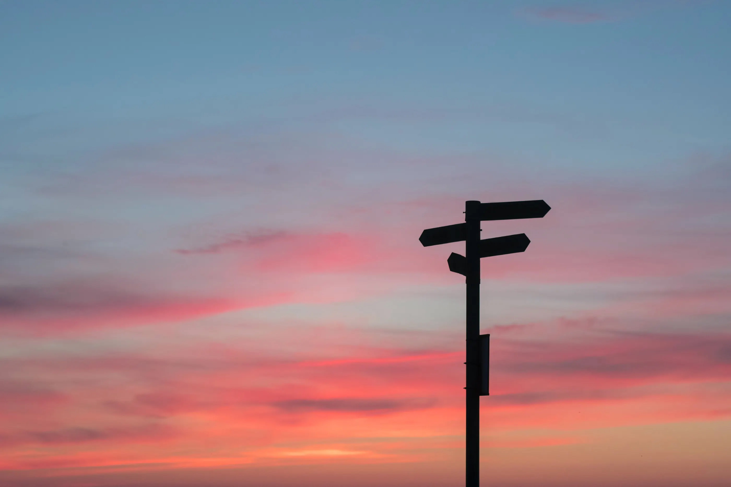 Image credit: Javier Allegue Barros c7b exxpoie Unsplash