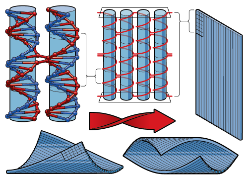 NSW researchers have developed a method to accurately measure DNA nanostructures