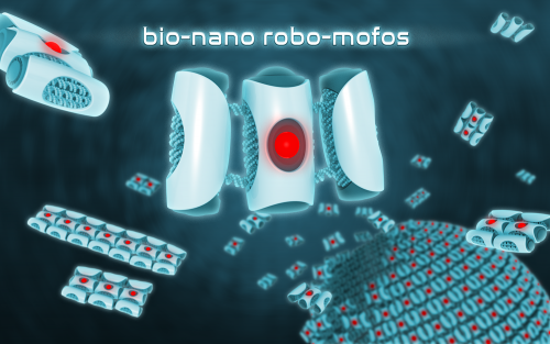 Bio nano robot mofos