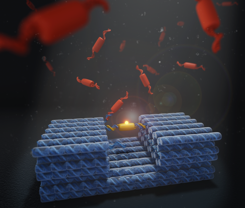 Artistic depiction of DNA nanomachine carrying protein cargo. Credit: Jonathan Berengut