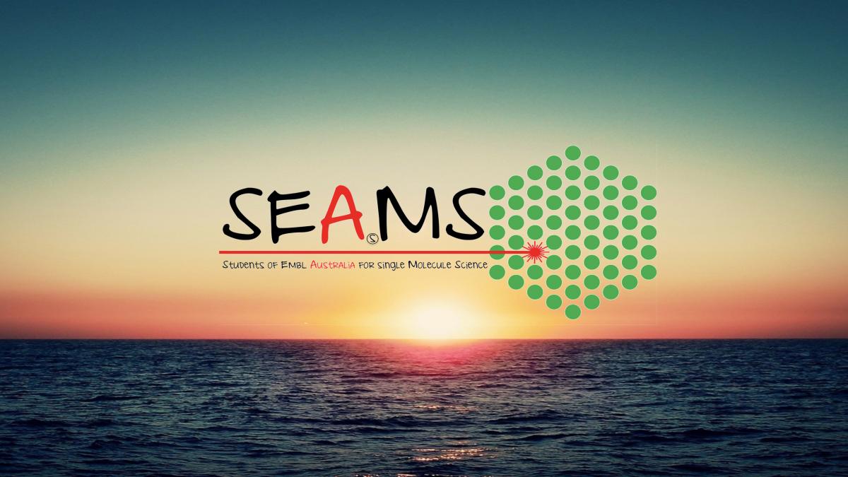 SEAMS logo on sunset backdrop