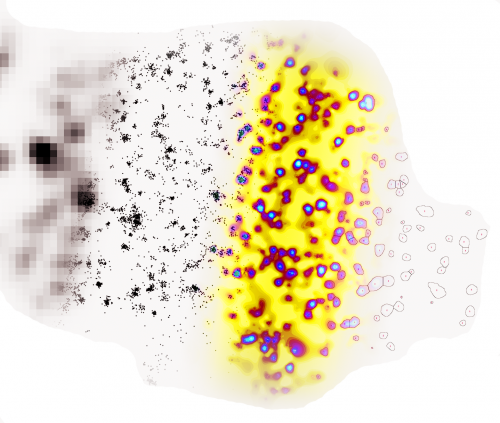 T-cell montage inerted