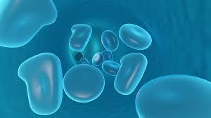 The deformability cytometer analyses the mechanical properties of cells