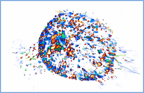Tracking the intracellular journey of viruses