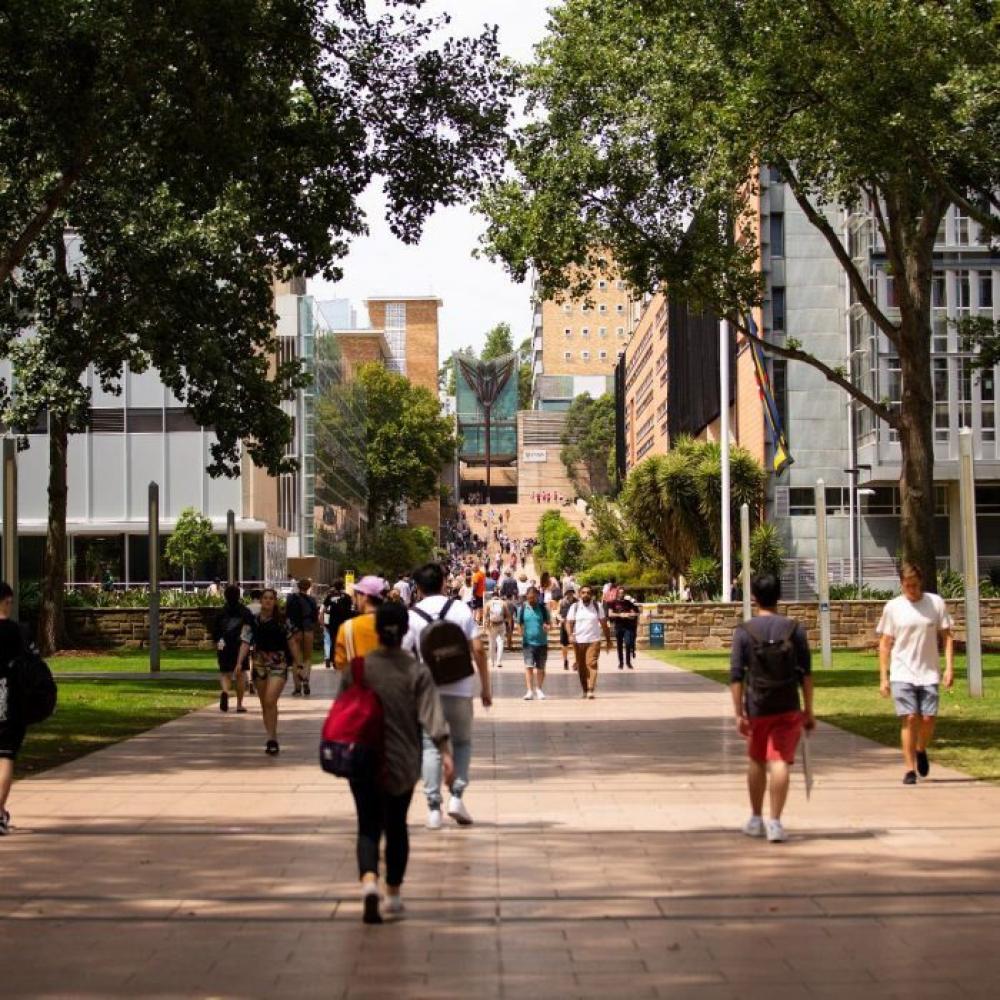 Main walkway at UNSW Campus