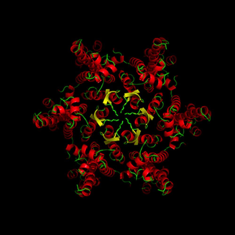 Structural virology -HIV