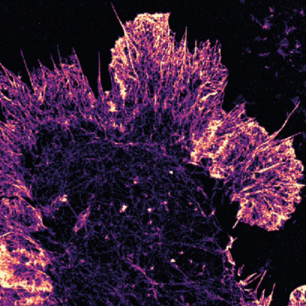 The researchers describe how to implement a stabilisation system to actively correct the alignment of super-resolution microscopes. Image: Simao Pereira Coelho and Jongho Baek