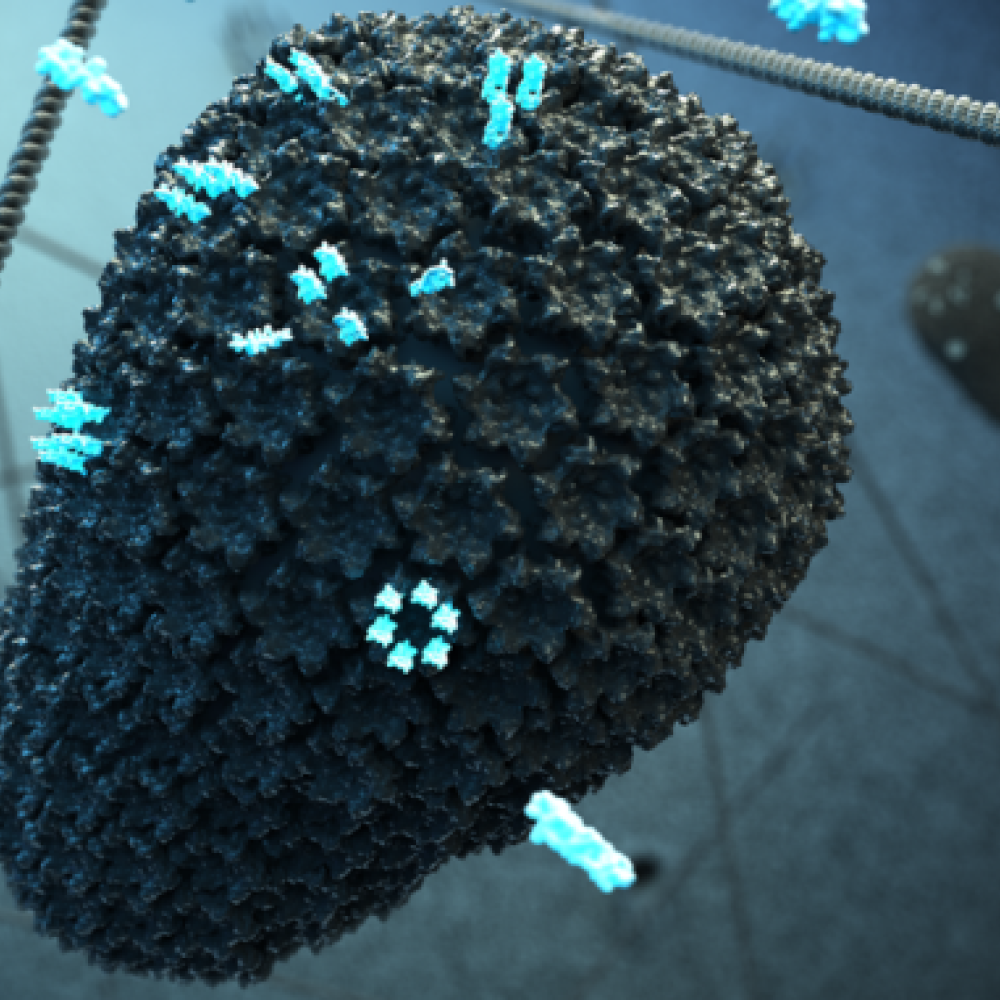 Image - How HIV adapted for pandemic spread