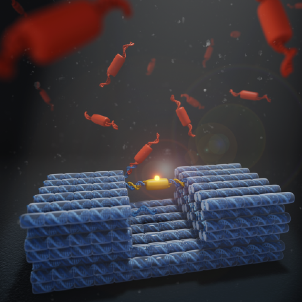 Artistic depiction of DNA nanomachine carrying protein cargo. Credit: Jonathan Berengut