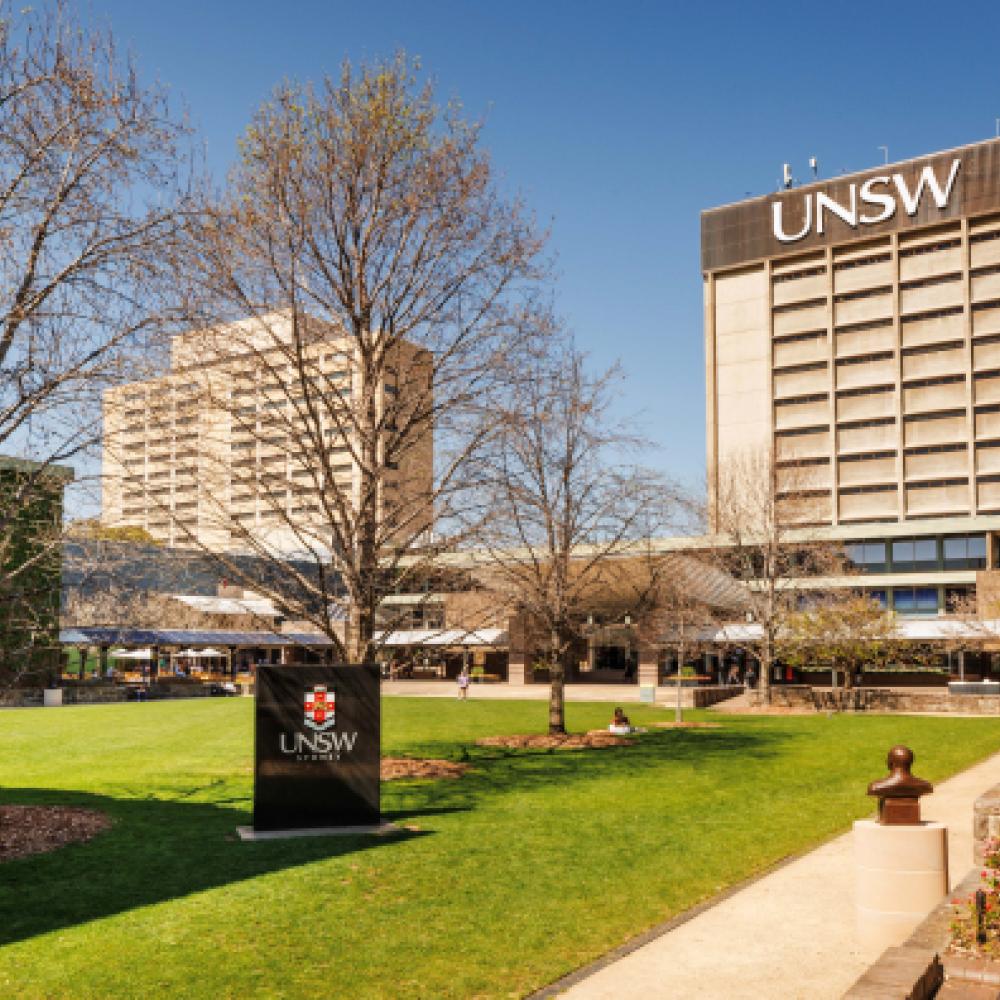 UNSW researchers have been awarded more than $20 million combined in the latest round of Discovery Grants from the Australian Research Council. Photo: UNSW Sydney