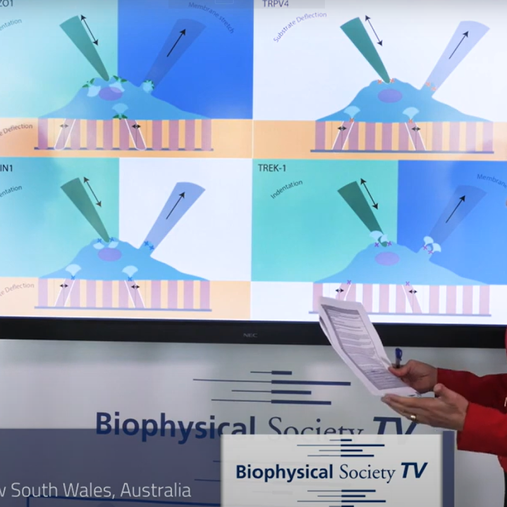 Kate Pool on Biophysical Society TV